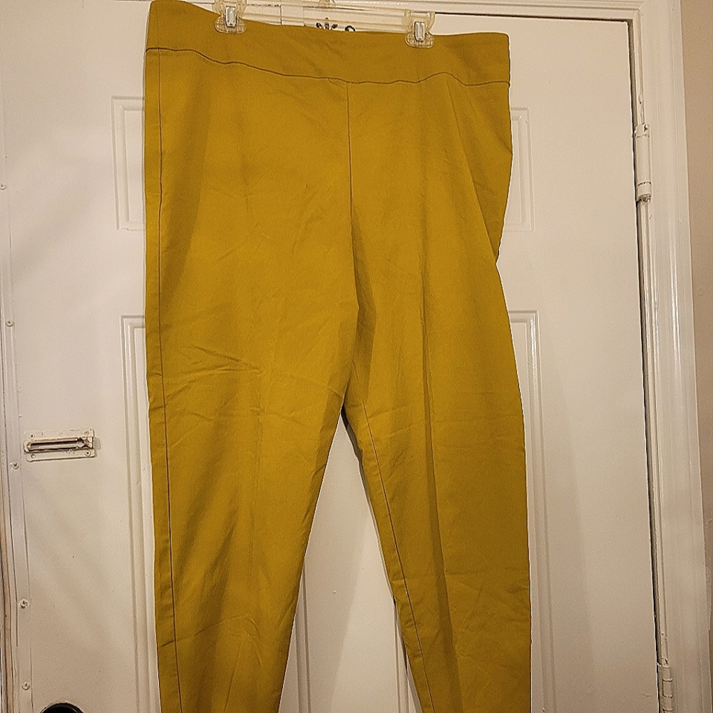 Olive Green pants 18W